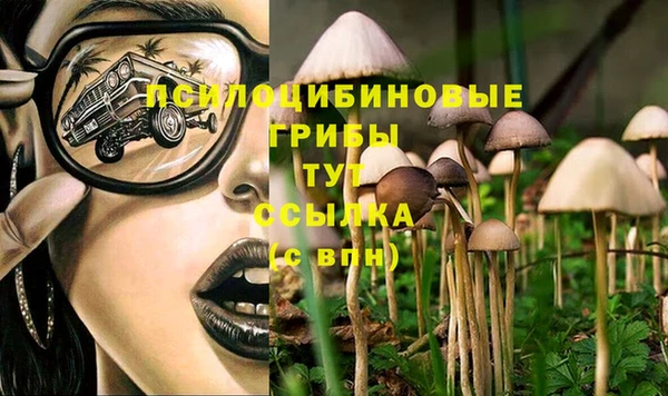 метадон Алексеевка