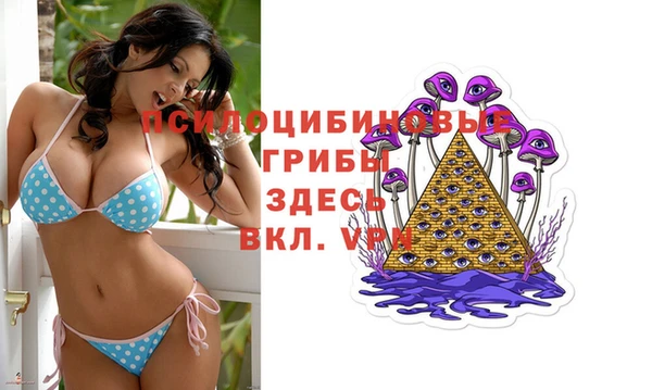 ГАЛЛЮЦИНОГЕННЫЕ ГРИБЫ Алзамай