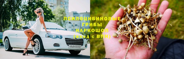 дурь Сатка