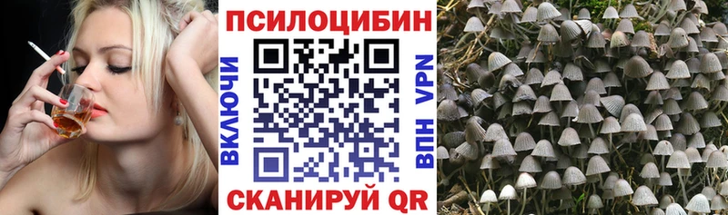 мега зеркало где купить наркотик Когалым Псилоцибиновые грибы GOLDEN TEACHER